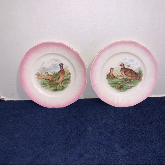 2 1920’s Antique Crescent China Co. Porcelain Bird Game Plates Pheasant Grouse - Picture 1 of 6